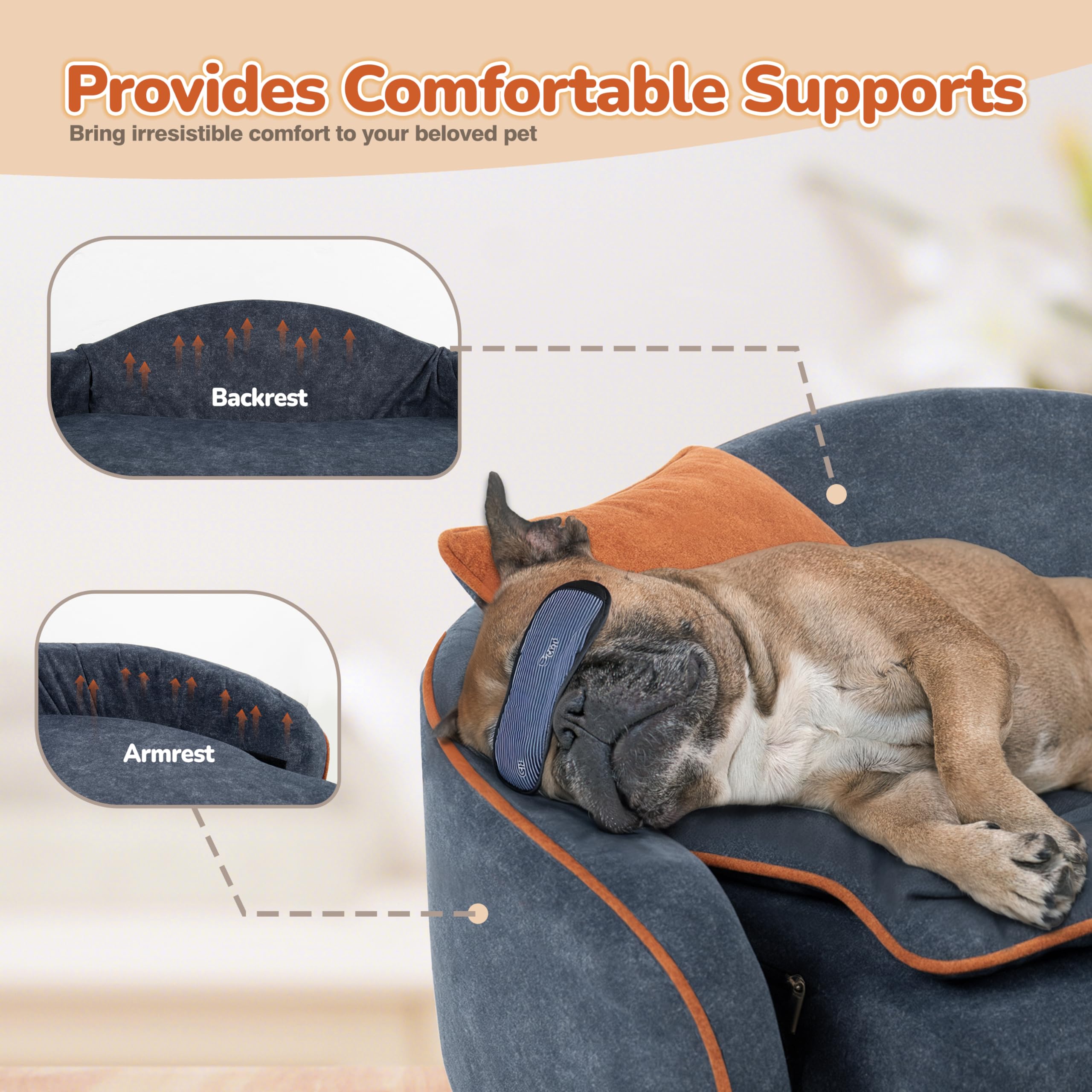 Premium Elevated Dog Couch