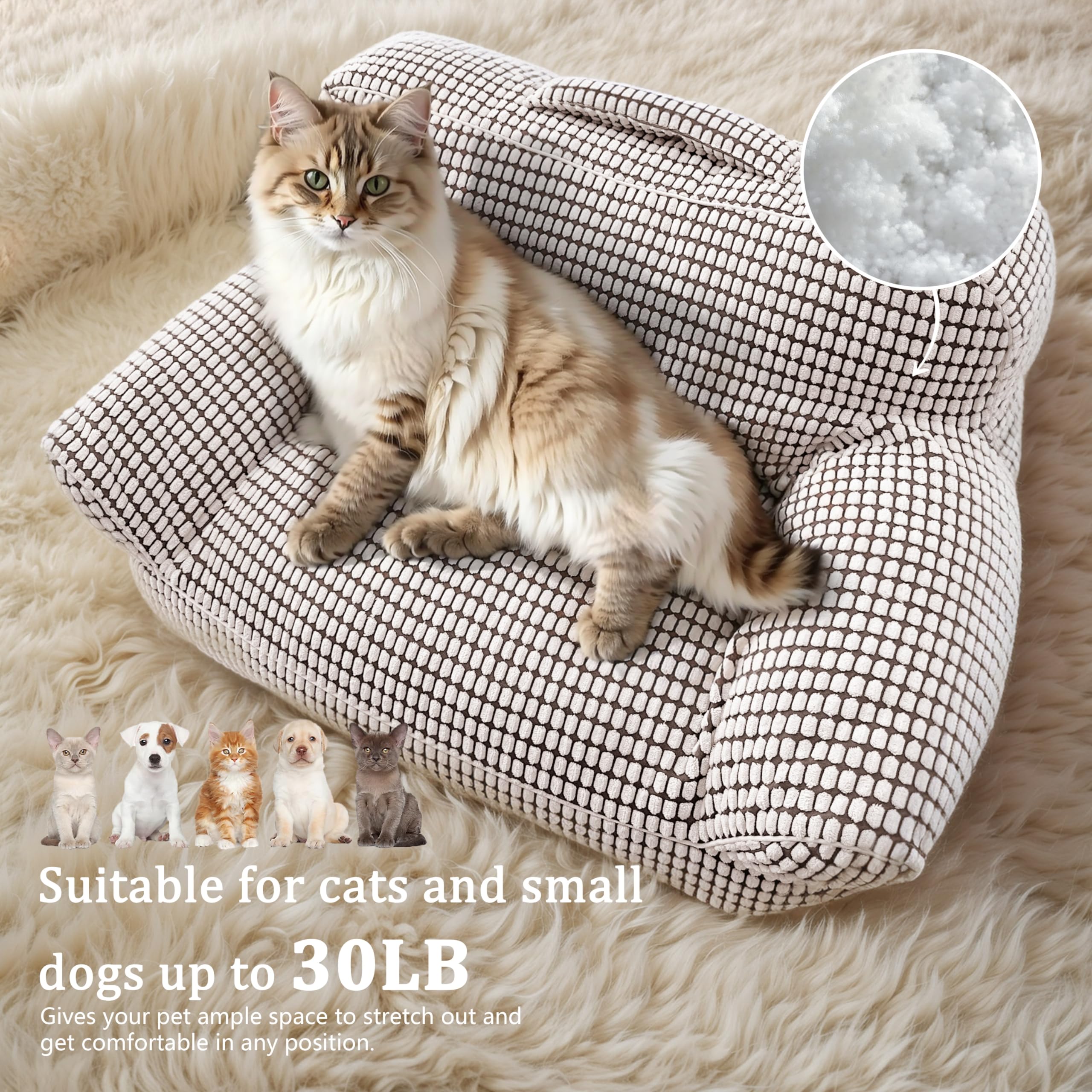 Modern Cat Sofa Bed for Cats and Small Dogs