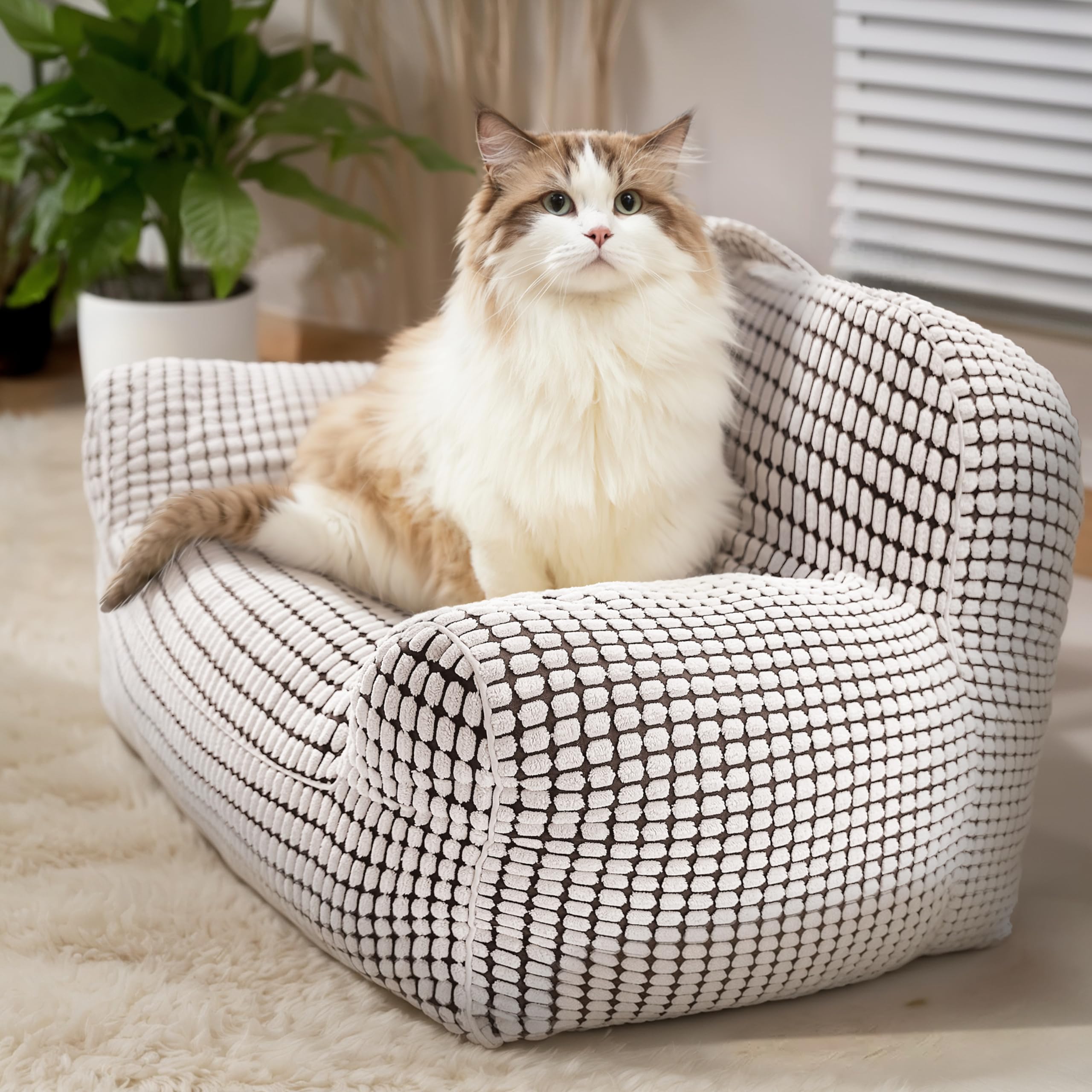 Modern Cat Sofa Bed for Cats and Small Dogs