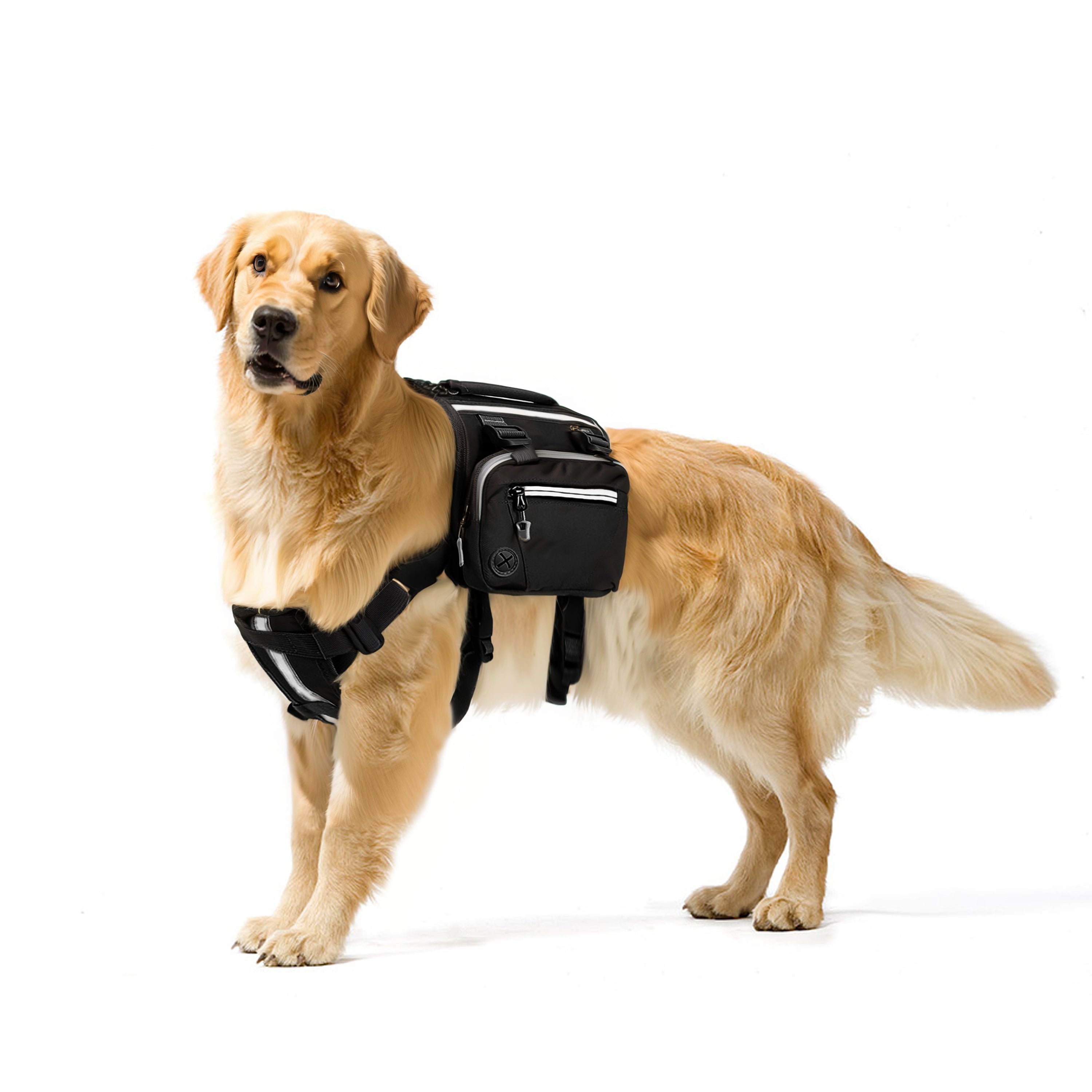 Medium-Large Dog Hiking Backpack: Outdoor Adventure Gear for Dogs